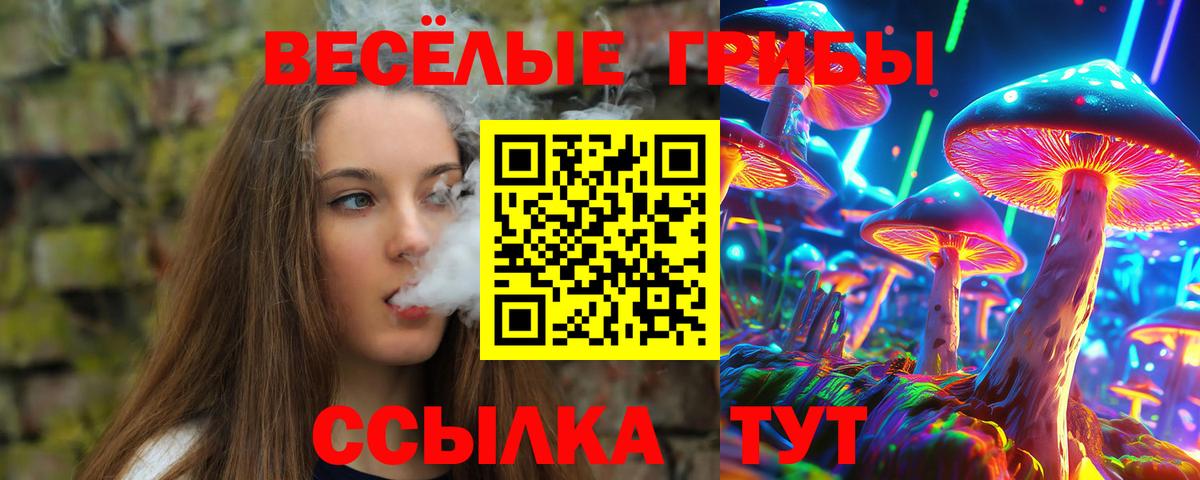 где купить наркоту  Вход с VPN  Похвистнево  Псилоцибиновые грибы Psilocybe  Галлюциногенные грибы GOLDEN TEACHER 