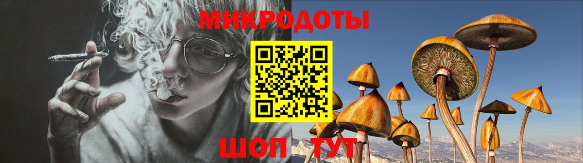 Галлюциногенные грибы Psilocybe Похвистнево